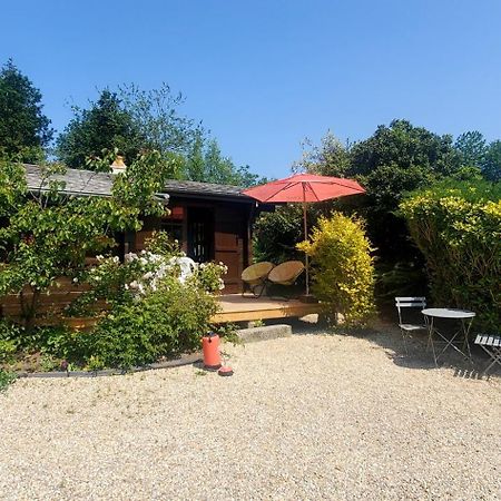 Chalet En Pleine Nature Au Bord D'Un Etang Lanvallay Exteriér fotografie