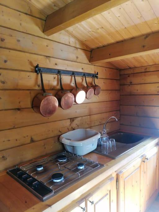 Chalet En Pleine Nature Au Bord D'Un Etang Lanvallay Exteriér fotografie