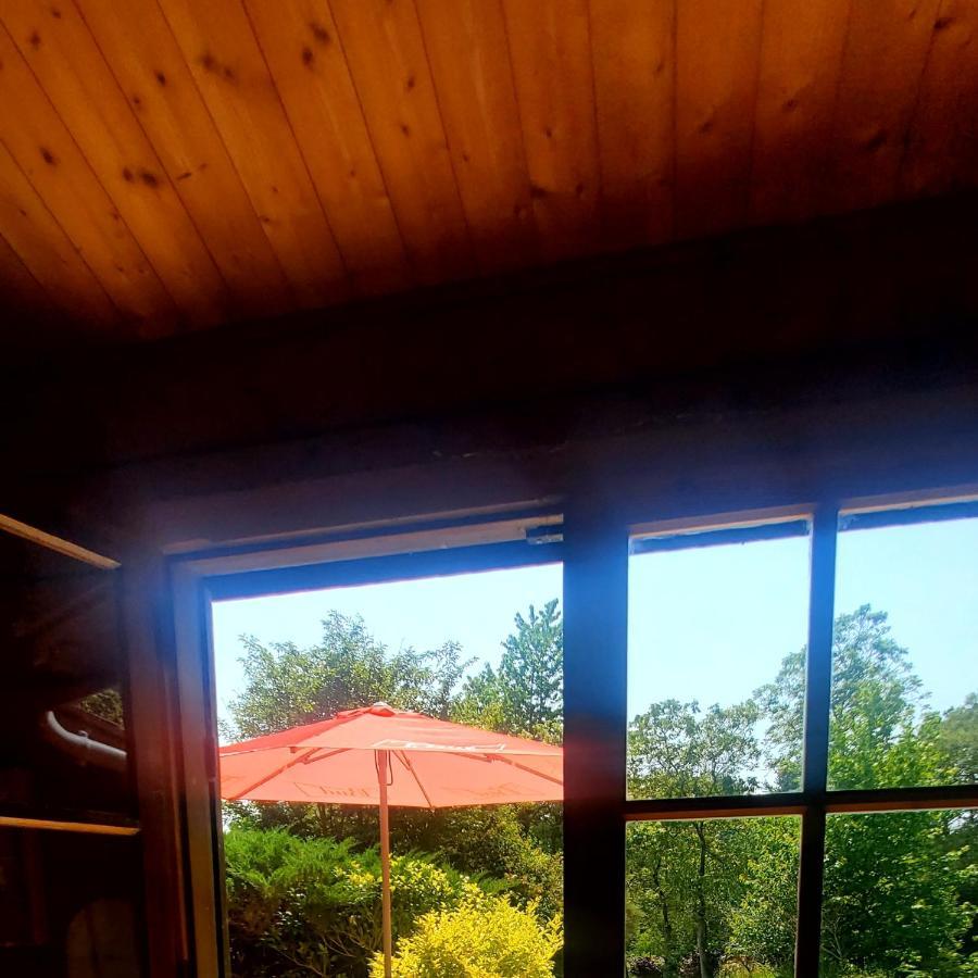 Chalet En Pleine Nature Au Bord D'Un Etang Lanvallay Exteriér fotografie